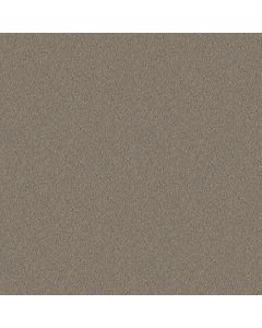 Shaw NEWBERN CLASSIC 12' Pebble Path Carpet - SH-E0949-00132