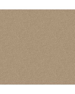 Shaw NEWBERN CLASSIC 12' Casual Cream Carpet - SH-E0949-00230