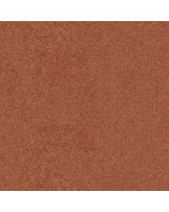 Shaw NEWBERN CLASSIC 12' Sunburst Carpet - SH-E0949-00630