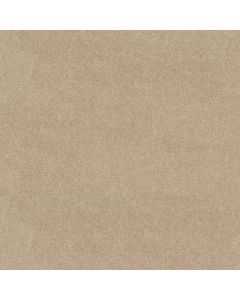 Shaw NEWBERN CLASSIC 15' Crisp Linen Carpet - SH-E0950-00109