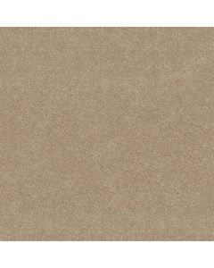 Shaw NEWBERN CLASSIC 15' Sand Dollar Carpet - SH-E0950-00116