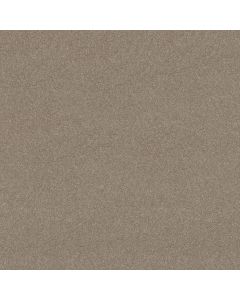 Shaw NEWBERN CLASSIC 15' Antique Silk Carpet - SH-E0950-00131