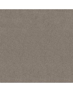 Shaw NEWBERN CLASSIC 15' Pebble Path Carpet - SH-E0950-00132