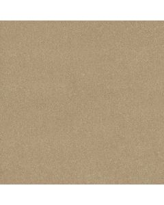 Shaw NEWBERN CLASSIC 15' Casual Cream Carpet - SH-E0950-00230