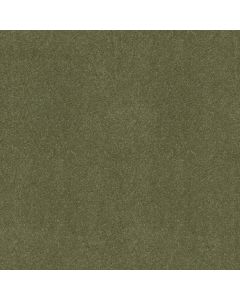 Shaw NEWBERN CLASSIC 15' Going Green Carpet - SH-E0950-00330