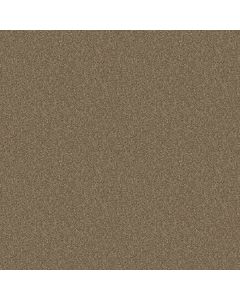 Shaw BRICEVILLE CLASSIC 12 Hearth Stone Carpet - SH-E0951-00700
