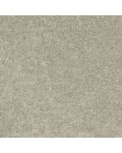 Shaw BRICEVILLE CLASSIC 15 Misty Taupe Carpet - SH-E0952-00105