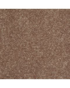 Shaw BRICEVILLE CLASSIC 15 Rio Grande Carpet - SH-E0952-00701