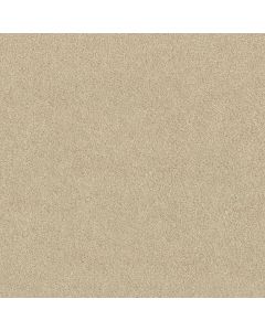 Shaw ORIGINS II Linen Carpet - SH-E9301-00101