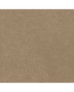 Shaw ORIGINS II Almond Tone Carpet - SH-E9301-00163
