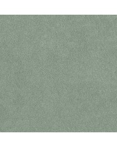 Shaw ORIGINS II Daydream Carpet - SH-E9301-00360