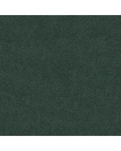Shaw ORIGINS II Shamrock Carpet - SH-E9301-00361