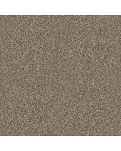 Shaw SEE ME Natural Taupe Carpet - SH-E9492-00111