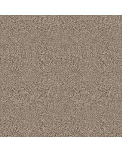 Shaw SEE ME Sand Swept Carpet - SH-E9492-00112