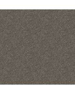 Shaw SEE ME Metal Works Carpet - SH-E9492-00511