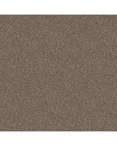 Shaw SEE ME Pale Desert Carpet - SH-E9492-00710
