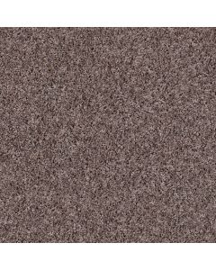 Shaw SEE ME Driftwood Carpet - SH-E9492-00711