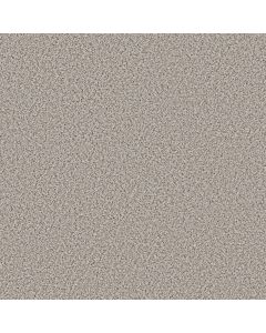 Shaw ELEMENTAL MIX I Pixels Carpet - SH-E9564-00170