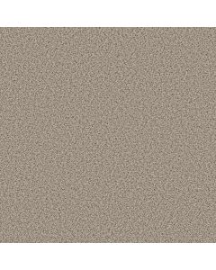 Shaw ELEMENTAL MIX I Horizon Carpet - SH-E9564-00172