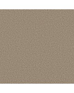 Shaw ELEMENTAL MIX I Sand Castle Carpet - SH-E9564-00174