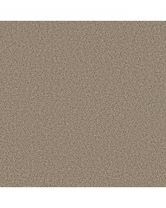 Shaw ELEMENTAL MIX I Twine Carpet - SH-E9564-00175