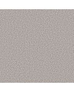Shaw ELEMENTAL MIX I Whitewash Carpet - SH-E9564-00177