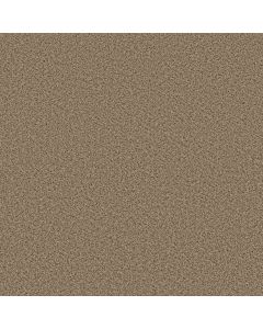 Shaw ELEMENTAL MIX I Bridle Leather Carpet - SH-E9564-00270