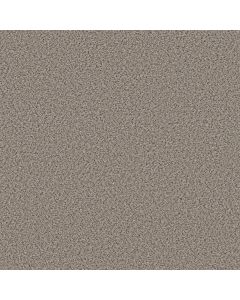 Shaw ELEMENTAL MIX I Pencil Sketch Carpet - SH-E9564-00570