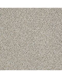 Shaw ELEMENTAL MIX I Silver Lining Carpet - SH-E9564-00572