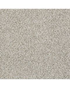 Shaw ELEMENTAL MIX II Snowbound Carpet - SH-E9565-00178