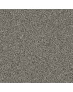 Shaw ELEMENTAL MIX II Antique Pin Carpet - SH-E9565-00571