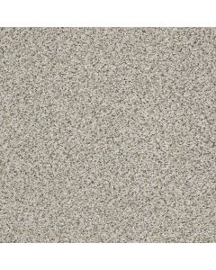 Shaw ELEMENTAL MIX II Silver Lining Carpet - SH-E9565-00572
