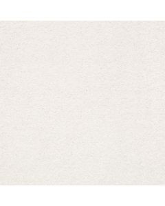 Shaw BASIC RULES Super Fine Carpet - SH-E9639-00100