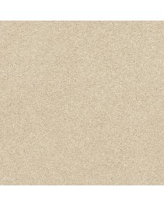 Shaw BASIC RULES Eggshell Carpet - SH-E9639-00102