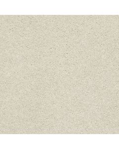 Shaw BASIC RULES Creamery Carpet - SH-E9639-00103