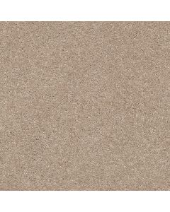 Shaw BASIC RULES Toast Carpet - SH-E9639-00105