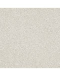 Shaw BASIC RULES Dew Carpet - SH-E9639-00106