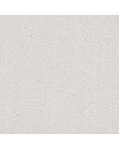 Shaw BASIC RULES Mist Carpet - SH-E9639-00107