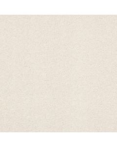 Shaw BASIC RULES Oatmeal Carpet - SH-E9639-00108