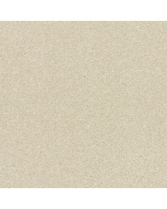Shaw BASIC RULES Linen Carpet - SH-E9639-00110