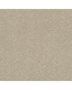 Shaw BASIC RULES Vicuna Carpet - SH-E9639-00111