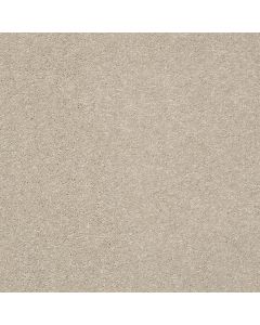 Shaw BASIC RULES Arctic Fox Carpet - SH-E9639-00112