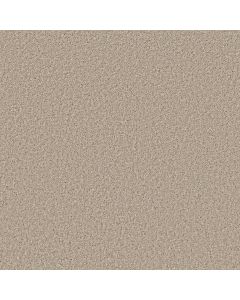 Shaw SHAKE IT UP (S) Sea Floor Carpet - SH-E9699-00110