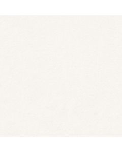 Shaw KEEN SENSES II White Hot Carpet - SH-E9715-00170
