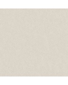 Shaw KEEN SENSES II Crisp Linen Carpet - SH-E9715-00171