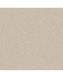 Shaw KEEN SENSES II Alabaster Carpet - SH-E9715-00172