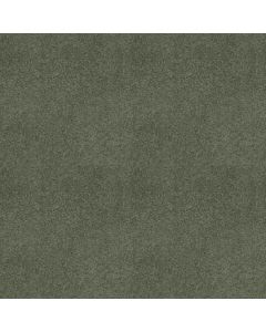 Shaw KEEN SENSES II Lush Garden Carpet - SH-E9715-00391