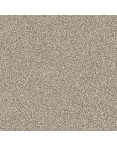 Shaw MAKE IT WORK Scenic Drive Carpet - SH-E9716-00172