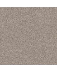 Shaw MAKE IT WORK Nature S Essent Carpet - SH-E9716-00175