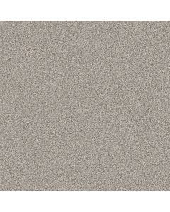 Shaw MAKE IT WORK Ambiance Carpet - SH-E9716-00176